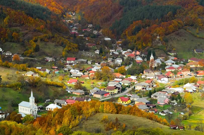 Bölényrezervátumot létesítenek a máramarosi Láposbányán