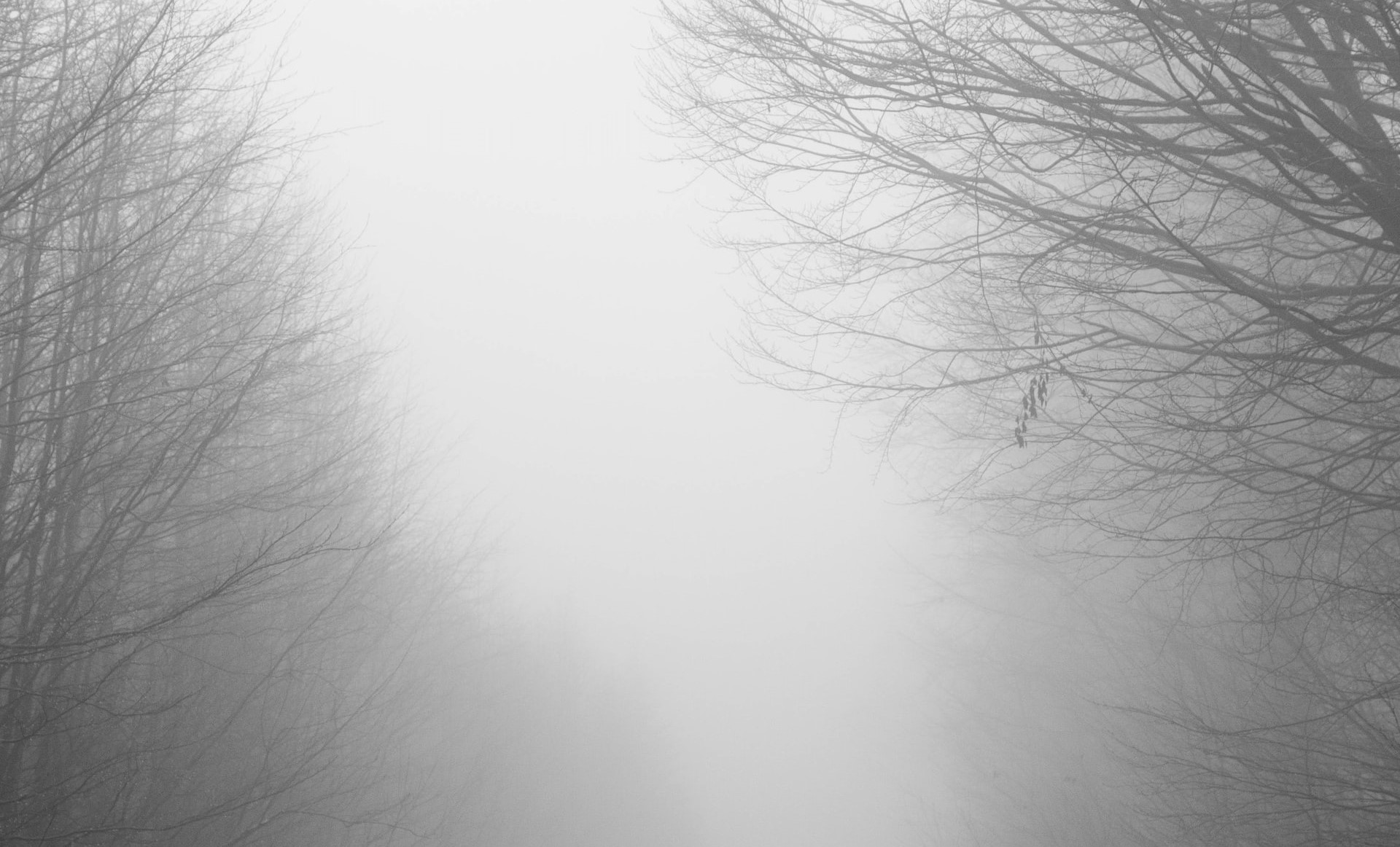 Sárga jelzésű figyelmeztetés 70 Kolozs megyei településen a sűrű köd miatt