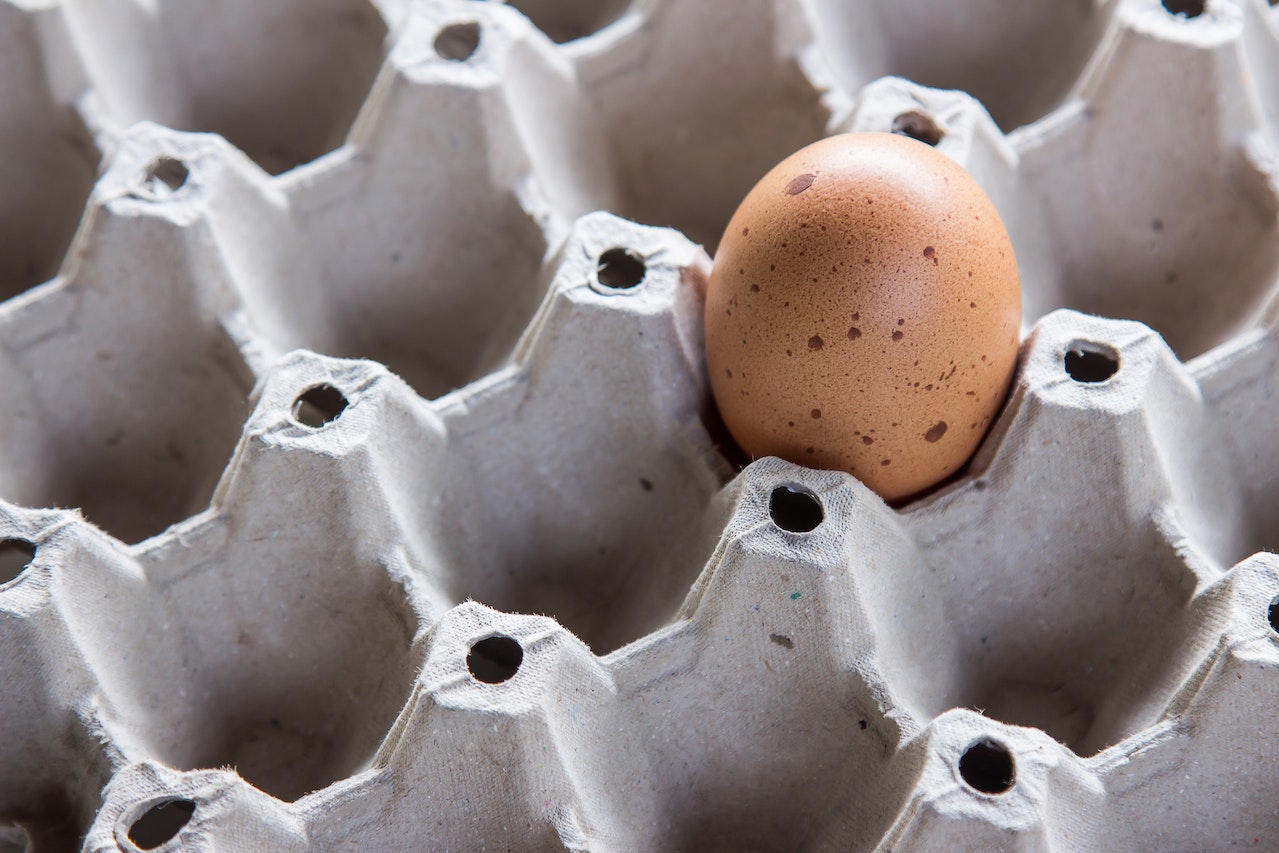 Átlagosan 30 százalékkal drágult a tojás az EU országaiban egy év alatt