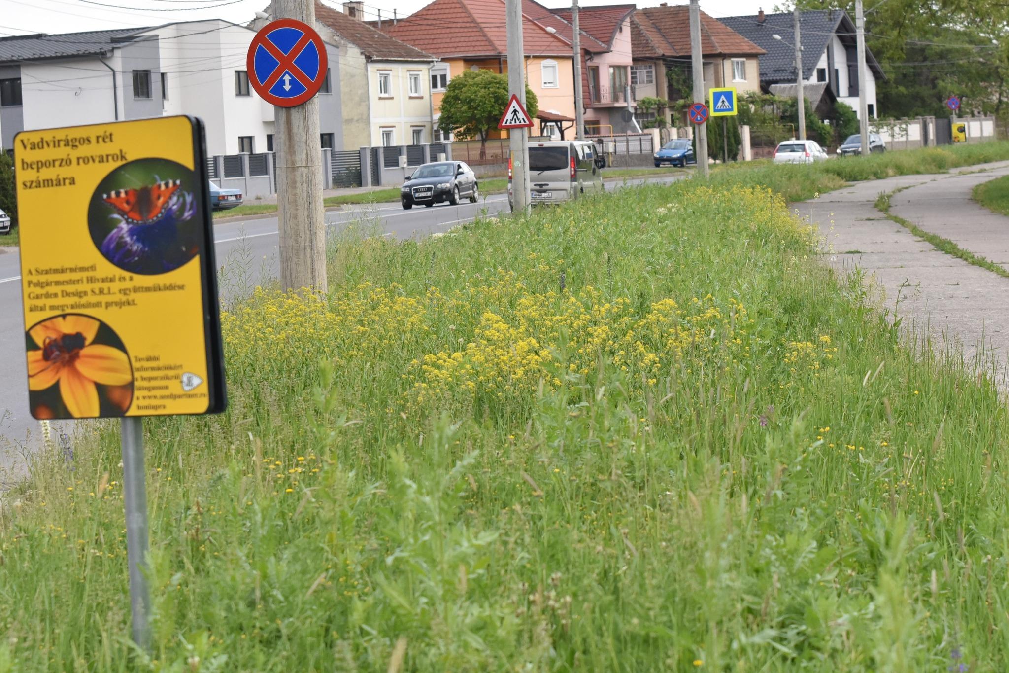 Városi rétekkel a beporzókért