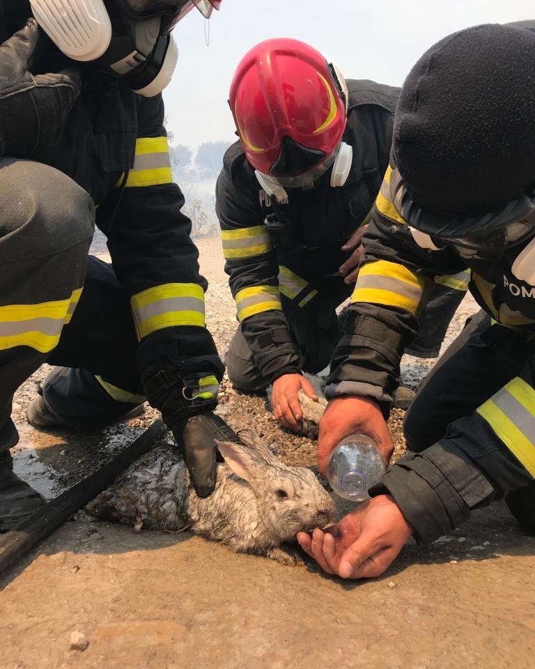 Rodoszon segédkeznek a romániai tűzoltók