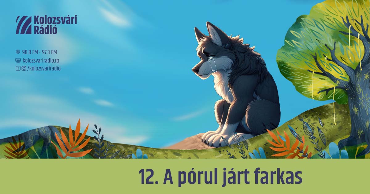 Mese #12: A pórul járt farkas