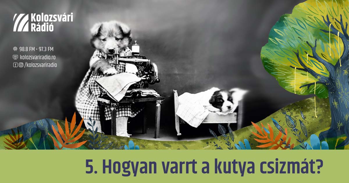 Mese #5: Hogyan varrt a kutya csizmát?