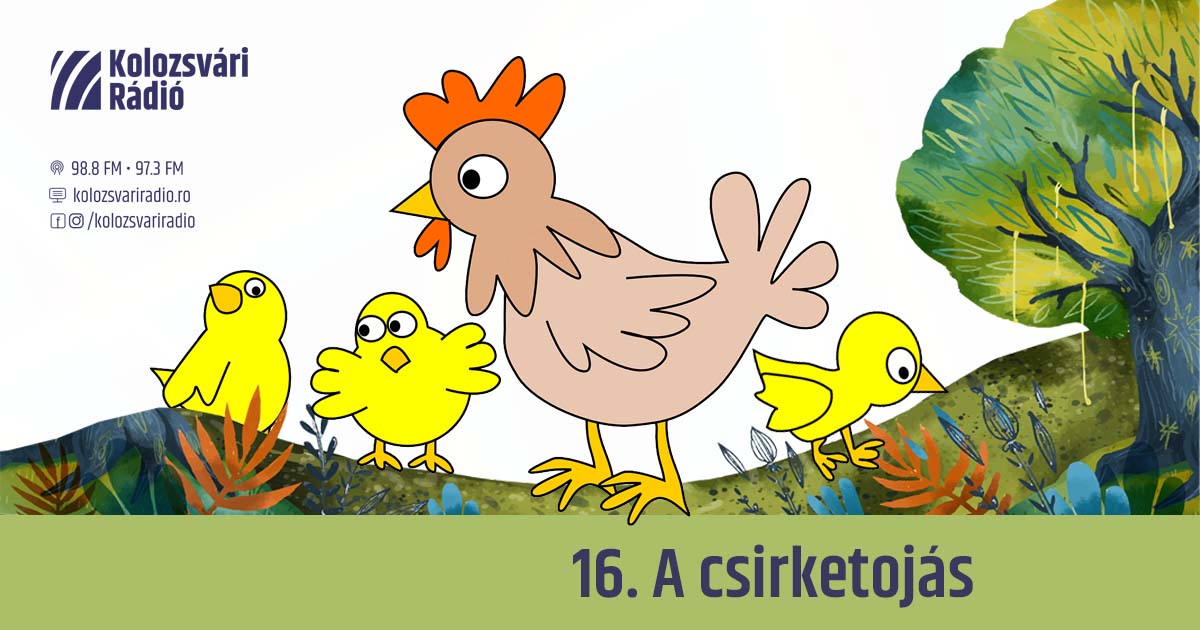 Mese #16: A csirketojás