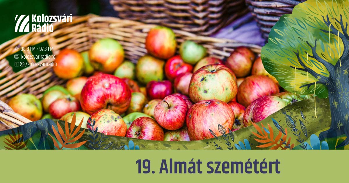 Mese #19: Almát szemétért