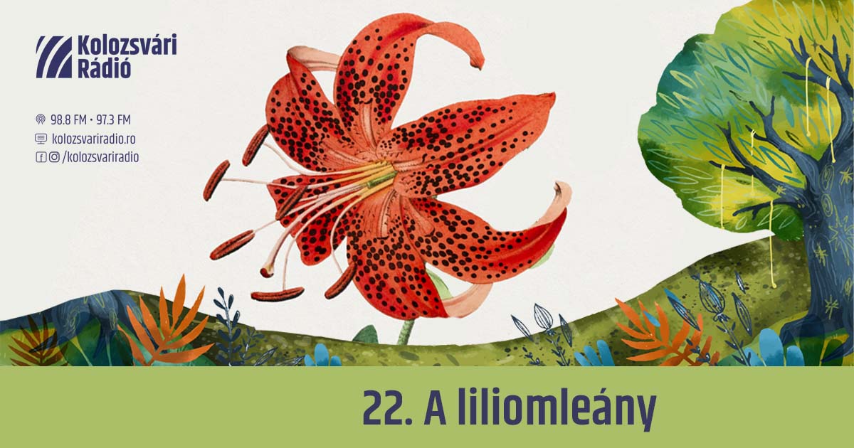 Mese #22: A liliomleány