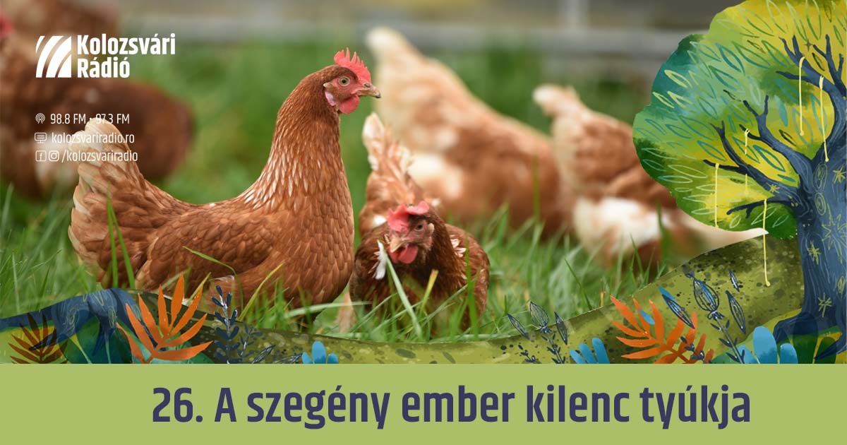 Mese #26: A szegény ember kilenc tyúkja