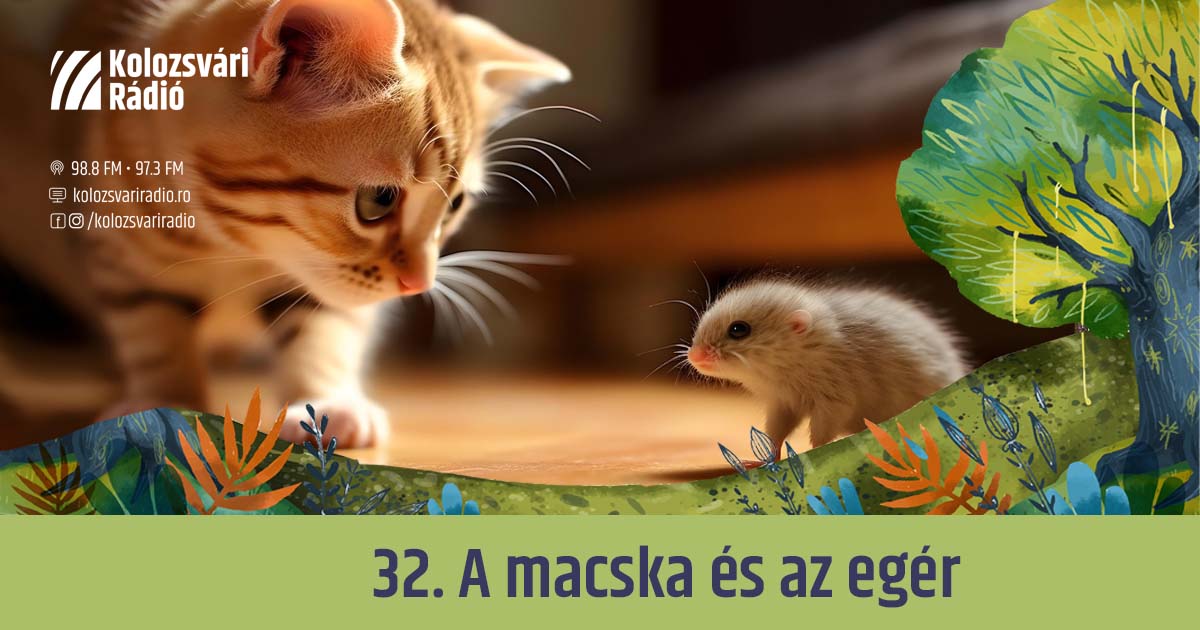 Mese #32: A macska és az egér