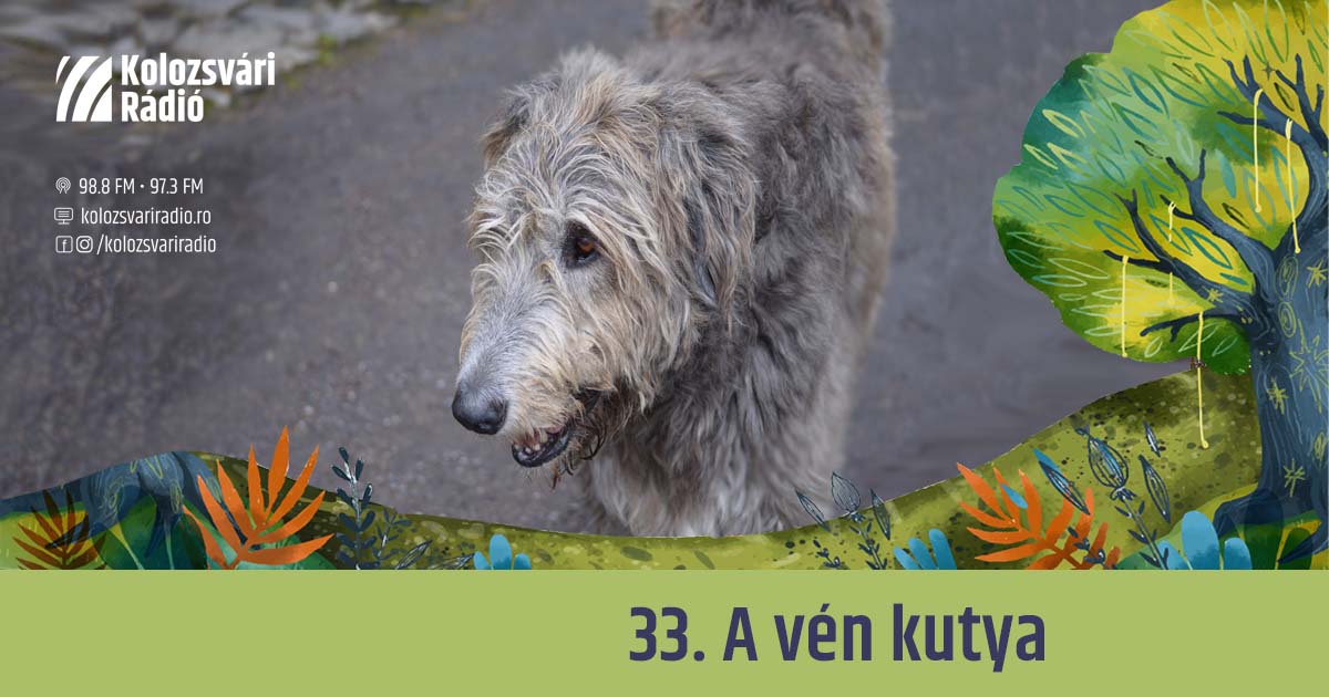 Mese #33: A vén kutya