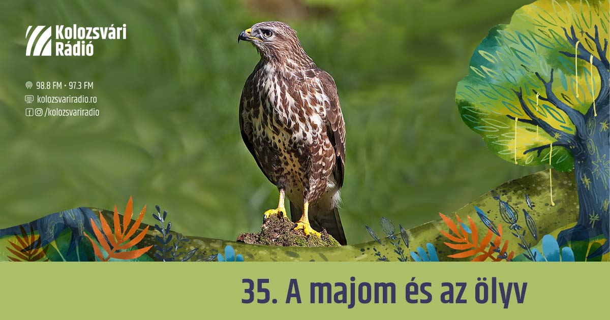 Mese #35: A majom és az ölyv