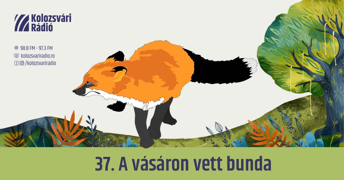 Mese #37: A vásáron vett bunda