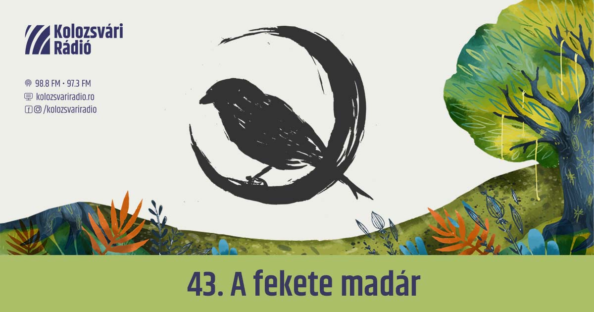 Mese #43: A fekete madár