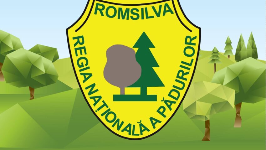 Komoly átszervezések jönnek a Romsilvánál Komoly átszervezések jönnek a Romsilvánál