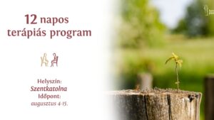 Szabadulni a függőségből – a Bonus Pastor 12 napos terápiás programja