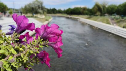 Egy város és folyója, biológiai és történelmi háttérrel