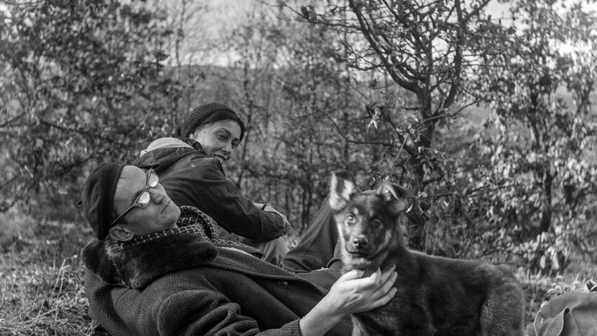 Palocsay Zsigmond lencséjén keresztül a világ Palocsay Zsigmond lencséjén keresztül a világ