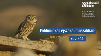 Szeptemberi eRPIgráfiák