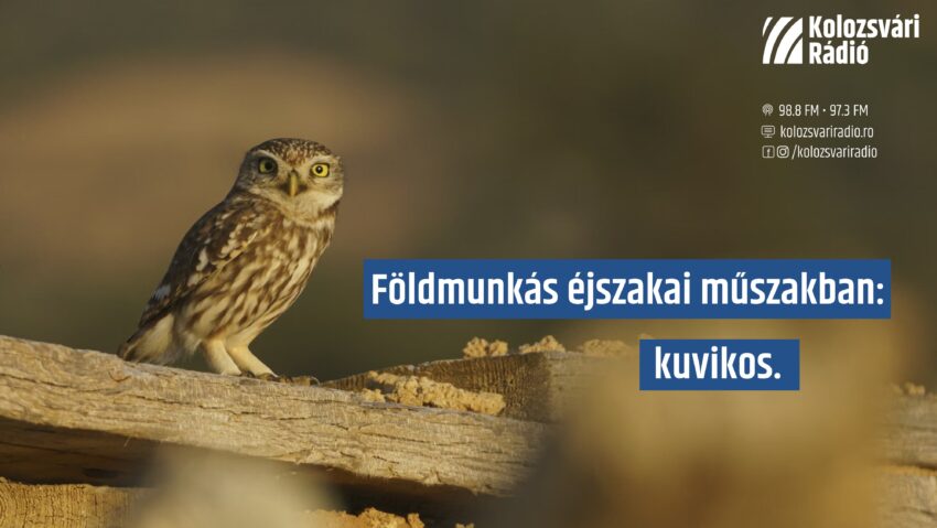 Szeptemberi eRPIgráfiák Szeptemberi eRPIgráfiák