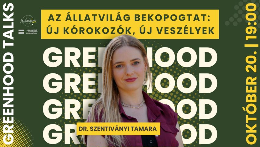 Mennyire vagyunk felkészülve egy következő világjárványra? Mennyire vagyunk felkészülve egy következő világjárványra?