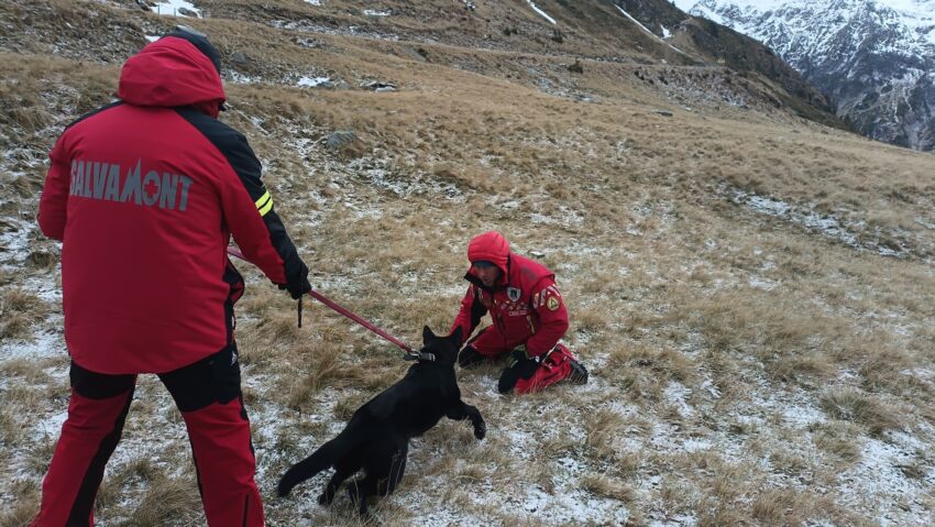 Nélkülük jóval nehezebb Nélkülük jóval nehezebb