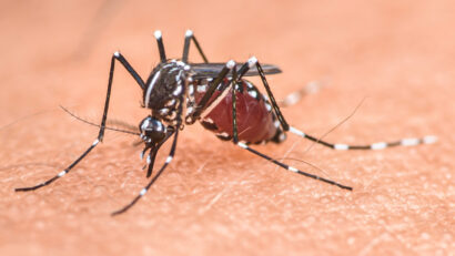 A holnap Európája – Tudjuk-e kezelni az éghajlatváltozás hatását az egészségünkre?