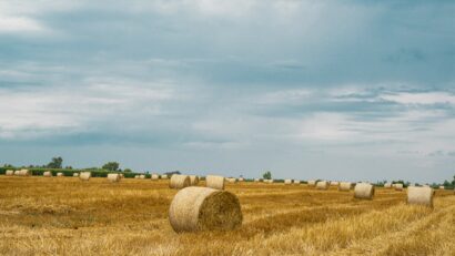 Rekordot döntött Románia gabonaexportja