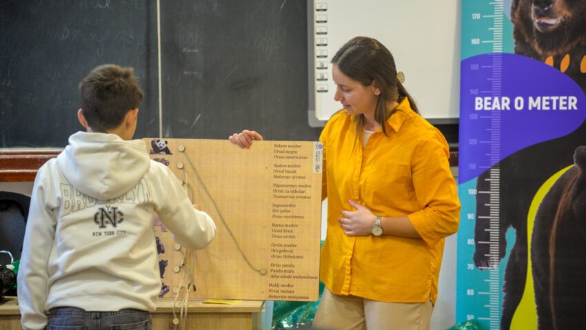 Medvékről, játékosan