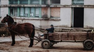 Mit mondanak Románia legfrissebb szegénységi mutatói?