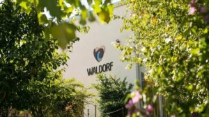 Tiltakozás a kolozsvári Waldorf iskola aligazgatónőjének elbocsátása miatt