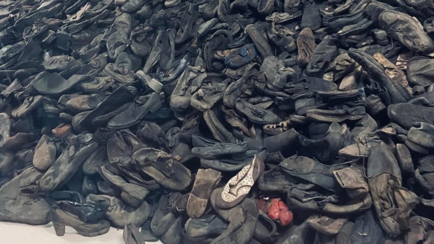 „Egy ilyen hely után belátják, hogy ezek a súlyos dolgok az életben”