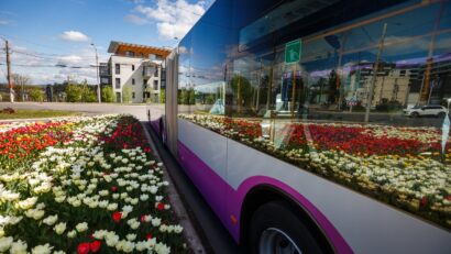 Több járatot hozott a tavasz Kolozsváron