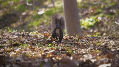 Naponta kiszabott feladatok
