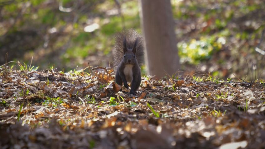 Naponta kiszabott feladatok