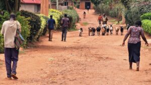 Ruanda, Afrika: szeretet és sárkunyhók – és utána?