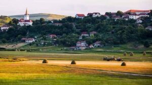 Őrizetbe vették Szék polgármesterét