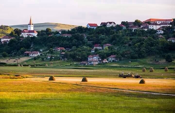 Őrizetbe vették Szék polgármesterét