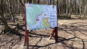 Akadálymentes turisztikai útvonal a Bükk-erdőben