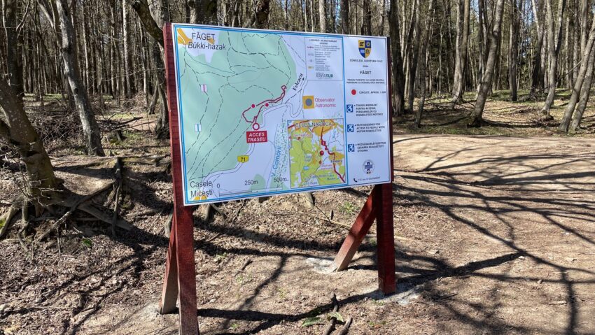 Akadálymentes turisztikai útvonal a Bükk-erdőben