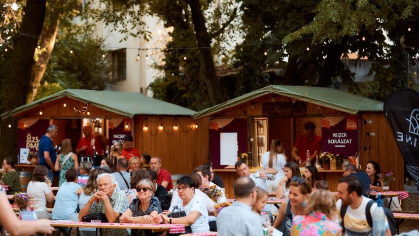25. PMN: Találkozások, történetek, koncertek