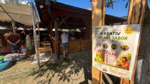 „A kezdeteket támogatjuk, a jövőt neveljük”