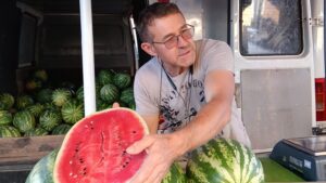 Végéhez közeledik a dinnyevásár